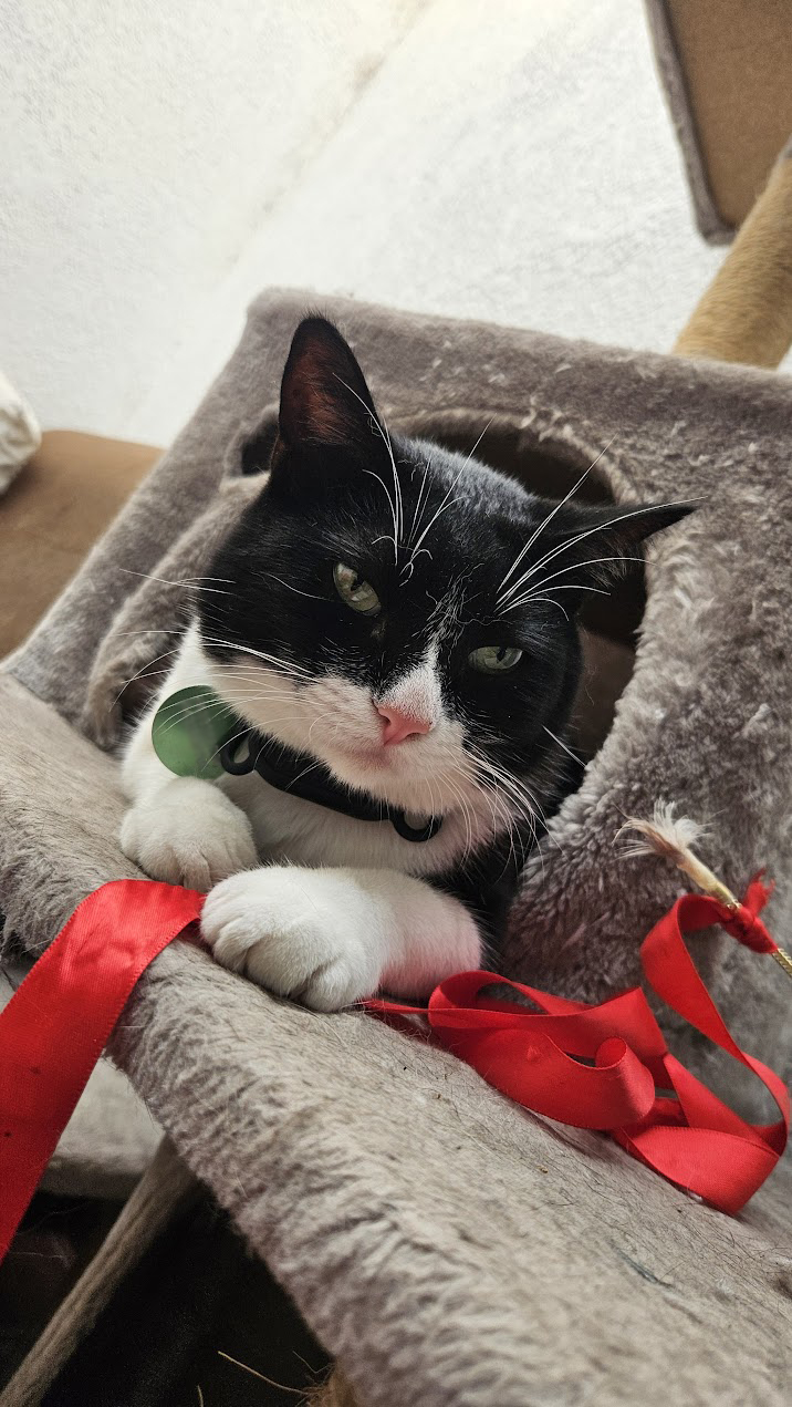 Samtiago cuidando el laboratorio de audio